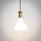 antique bronze pendant light with twisted cable and astrid bulb on