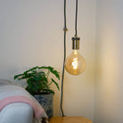 antique bronze plug in pendant light and straight cable sophia bulb in living room on
