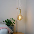brass plug in pendant light and twisted cable felicity bulb in living room on