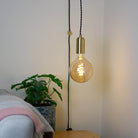 brass plug in pendant light and twisted cable sophia bulb in living room on