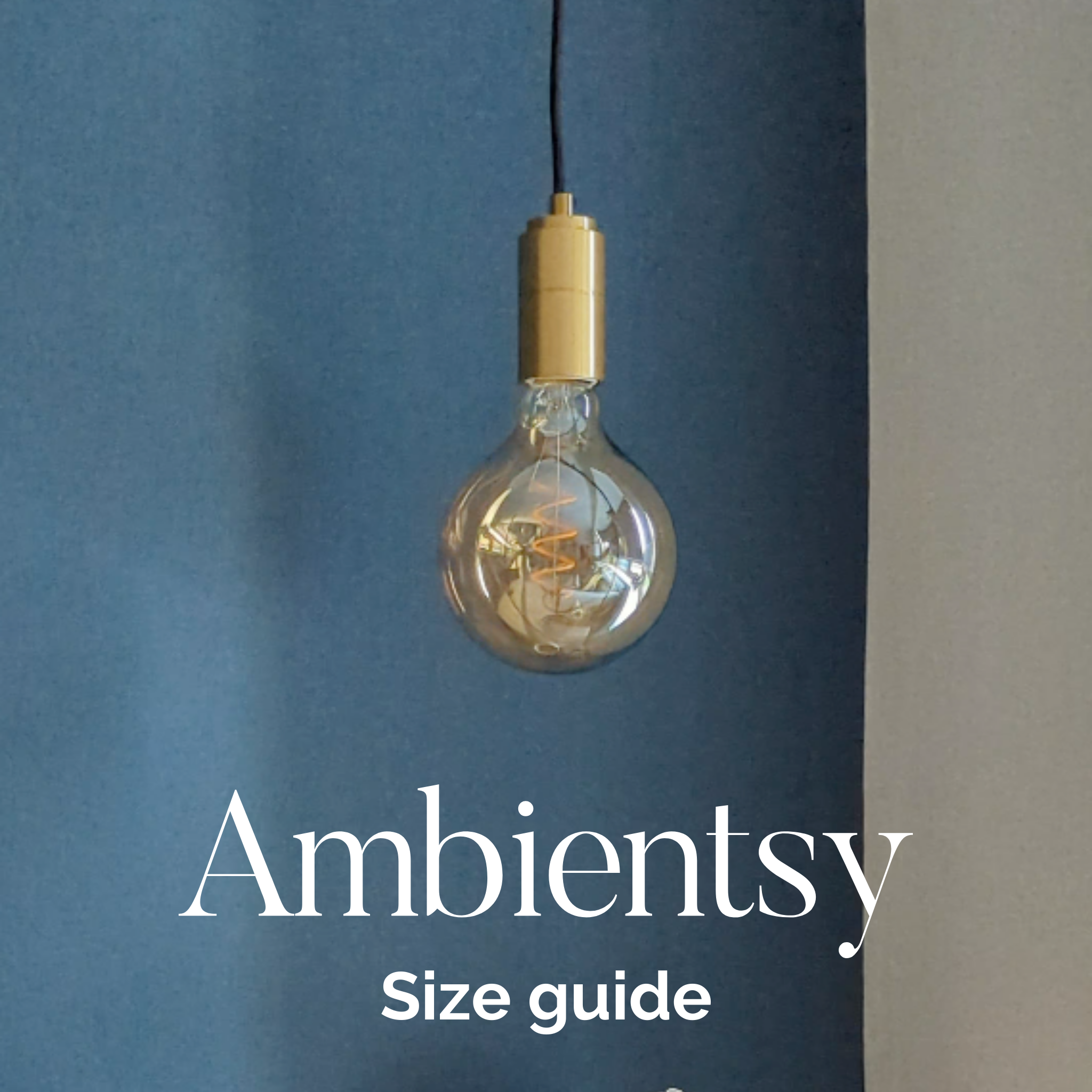 video showing the real size of the sophia  decorative light bulb