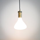 antique bronze pendant light with twisted cable and astrid bulb on